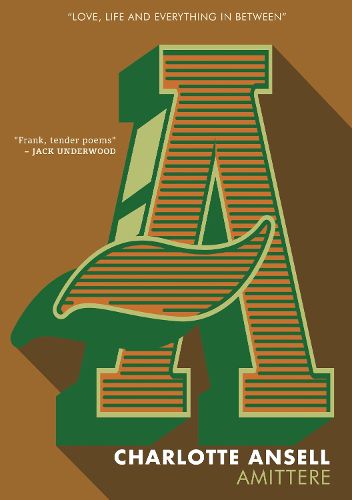 Cover image for Amittere