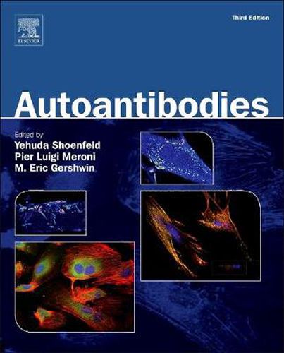 Cover image for Autoantibodies