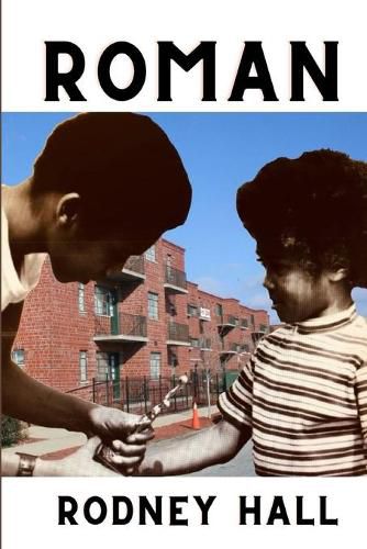 Cover image for Roman