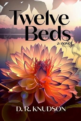 Cover image for Twelve Beds