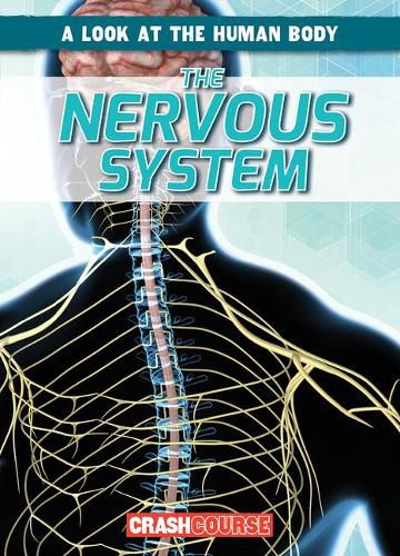 Cover image for The Nervous System