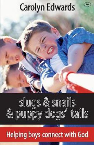 Cover image for Slugs and snails and puppy dogs' tails: Helping Boys Connect With God