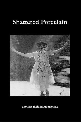 Cover image for Shattered Porcelain