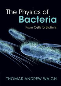 Cover image for The Physics of Bacteria