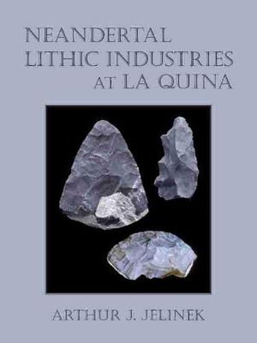 Cover image for Neandertal Lithic Industries at La Quina