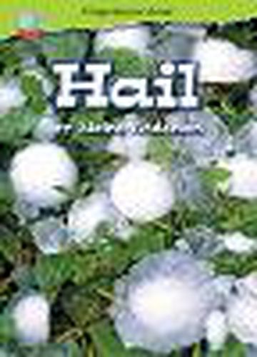 Cover image for Making Connections Comprehension Library Grade 2: Hail (Reading Level 23/F&P Level N)