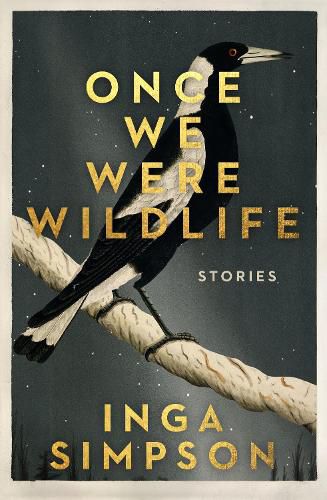 Cover image for Once We Were Wildlife: Stories
