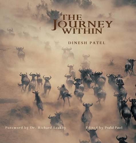 Cover image for The Journey Within