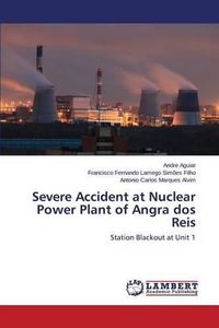 Cover image for Severe Accident at Nuclear Power Plant of Angra dos Reis