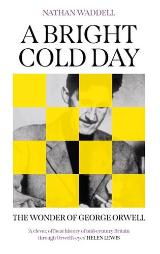 Cover image for A Bright Cold Day