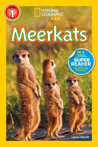 Cover image for National Geographic Kids Readers: Meerkats