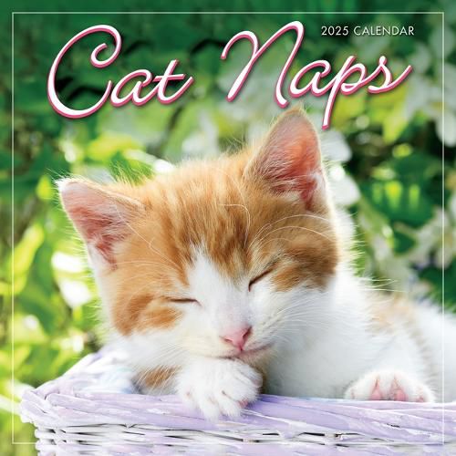 2025 Cat Naps Mini Calendar
