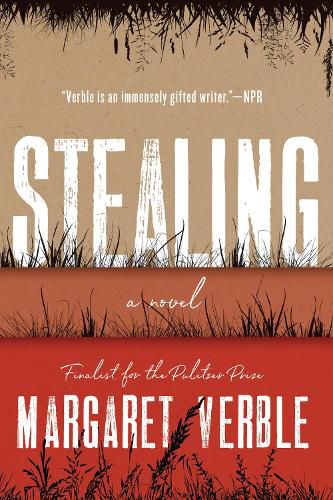 Cover image for Stealing: A Novel