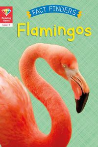 Cover image for Reading Gems Fact Finders: Flamingos (Level 1)