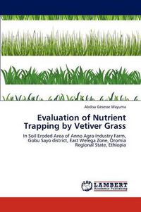 Cover image for Evaluation of Nutrient Trapping by Vetiver Grass