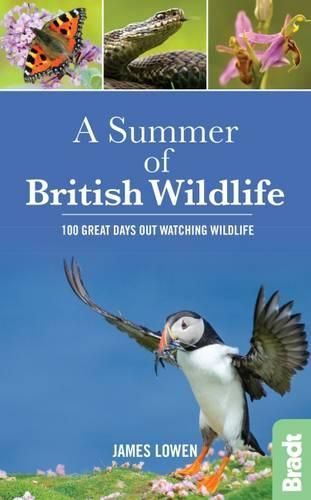 A Summer of British Wildlife: 100 great days out watching wildlife