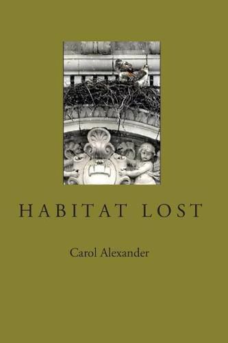 Cover image for Habitat Lost