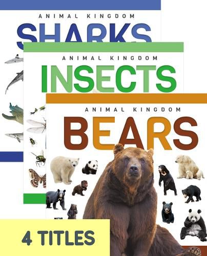 Cover image for Genius Kid: Animal Kingdom (Set of 4)