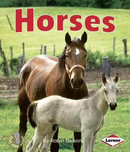 Cover image for Horses