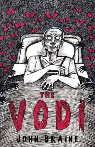 Cover image for The Vodi