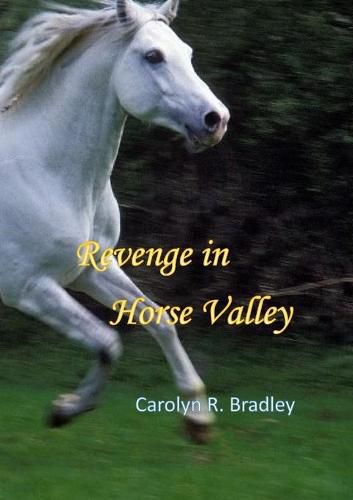 Cover image for Revenge in Horse Valley