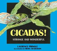 Cover image for Cicadas!: Strange and Wonderful