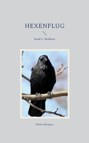 Cover image for Hexenflug