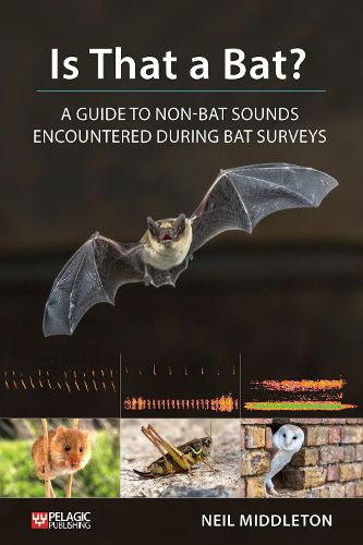Cover image for Is That a Bat?: A Guide to Non-Bat Sounds Encountered During Bat Surveys
