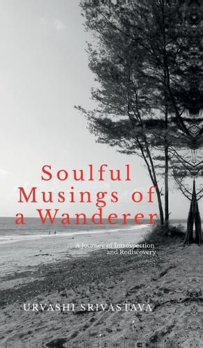 Cover image for Soulful Musings of a Wanderer