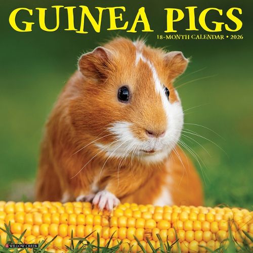 Cover image for Guinea Pigs 2026 12 X 12 Wall Calendar