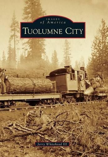 Cover image for Tuolumne City