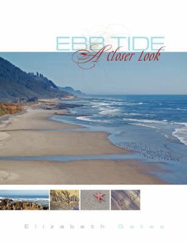 Cover image for EBB TIDE A Closer Look