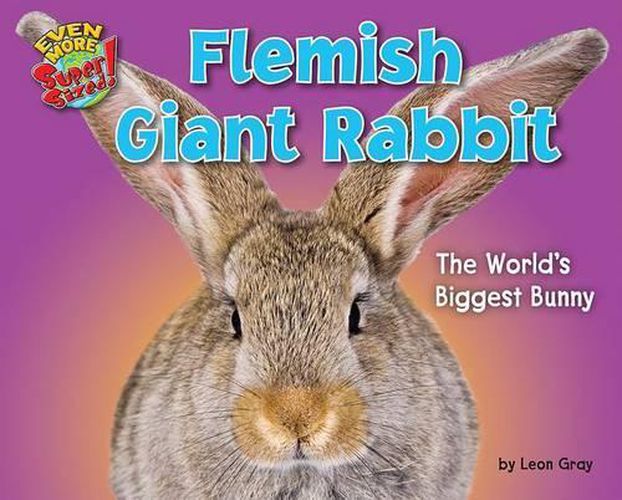 Cover image for Flemish Giant Rabbit: The World's Biggest Bunny
