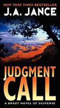 Cover image for Judgment Call