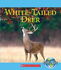 Cover image for White-Tailed Deer