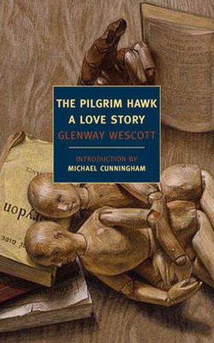 Pilgrim Hawk