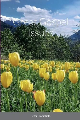 Cover image for Great Gospel Issues