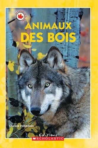 Cover image for Le Canada Vu de Pr?s: Animaux Des Bois