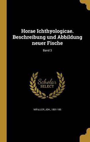 Horae Ichthyologicae. Beschreibung Und Abbildung Neuer Fische; Band 3