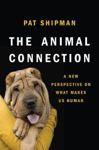 Cover image for The Animal Connection: A New Perspective on What Makes Us Human