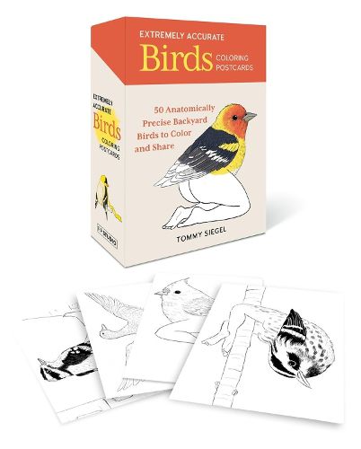 Cover image for Extremely Accurate Birds Coloring Postcards