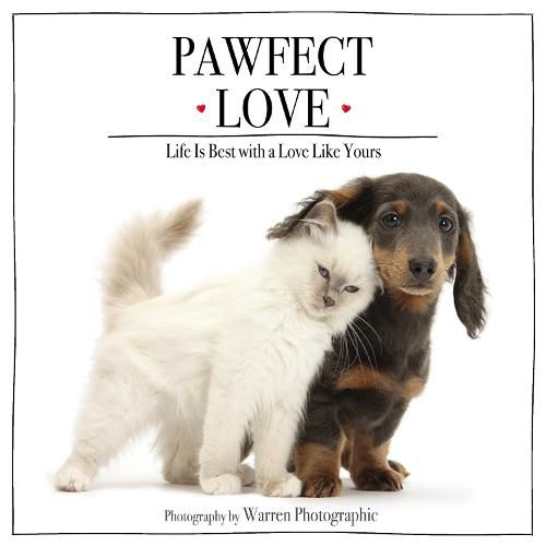 Cover image for Pawfect Love: Life Is Best with a Love Like Yours