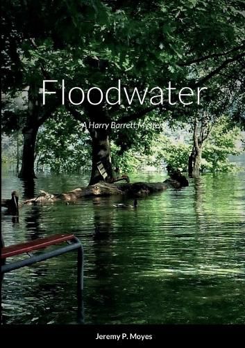 Cover image for Floodwater