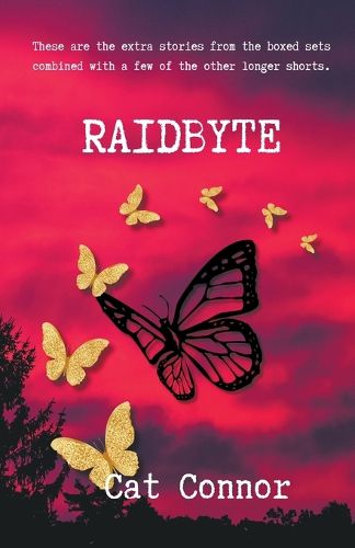 Cover image for Raidbyte