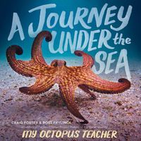 Cover image for A Journey Under The Sea
