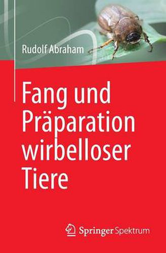 Fang Und Praparation Wirbelloser Tiere