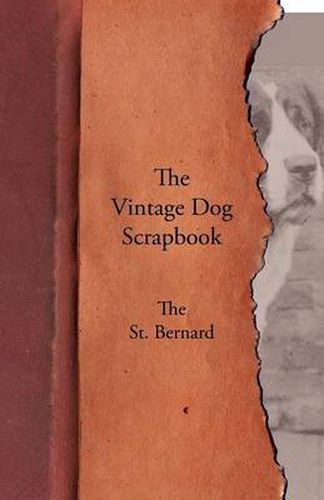 Cover image for The Vintage Dog Scrapbook - The St. Bernard