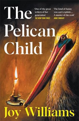 Cover image for The Pelican Child