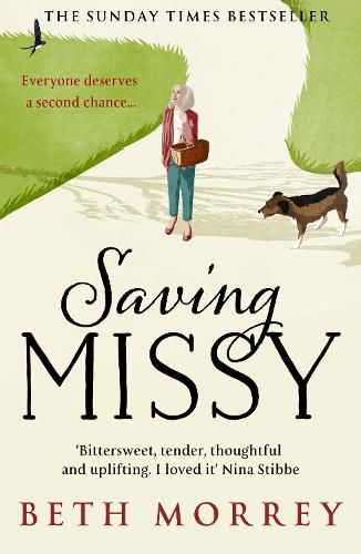 Cover image for Saving Missy