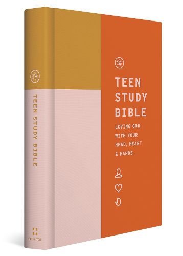 Cover image for ESV Teen Study Bible
